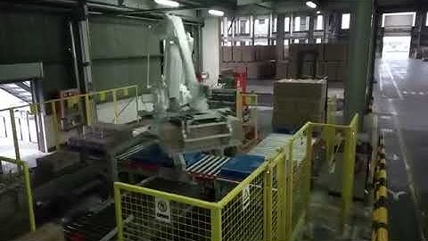 robot palletizer