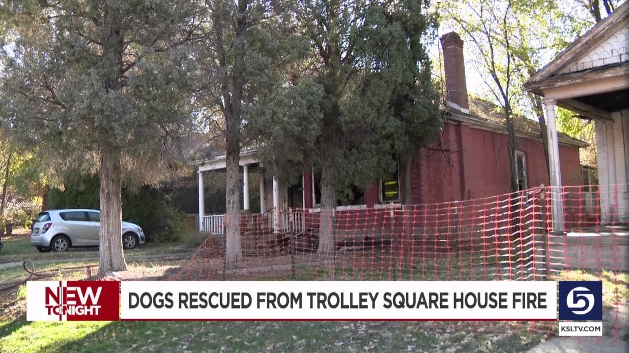 Two dogs rescued from Trolley Square area house fire - YouTube