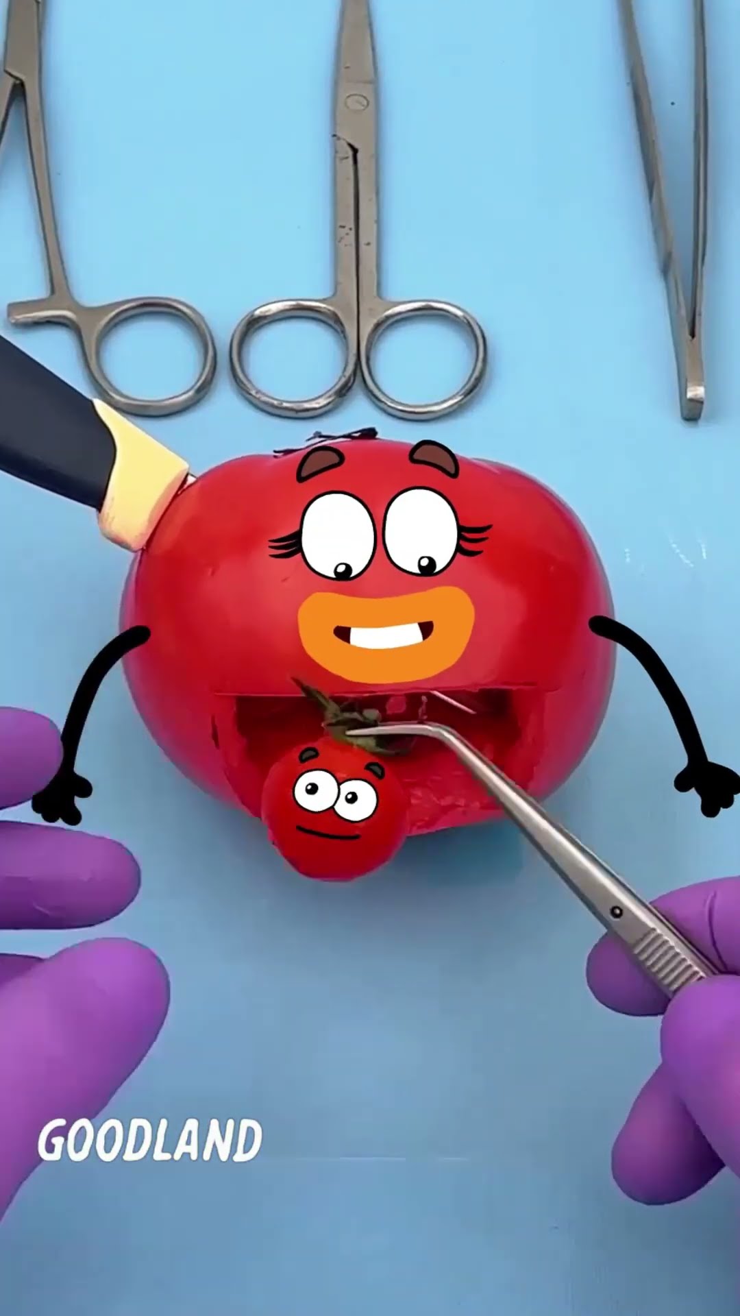 Goodland |Tomato operation, knife in tomato ? #doodles #animation #cartoon #GOODLAND