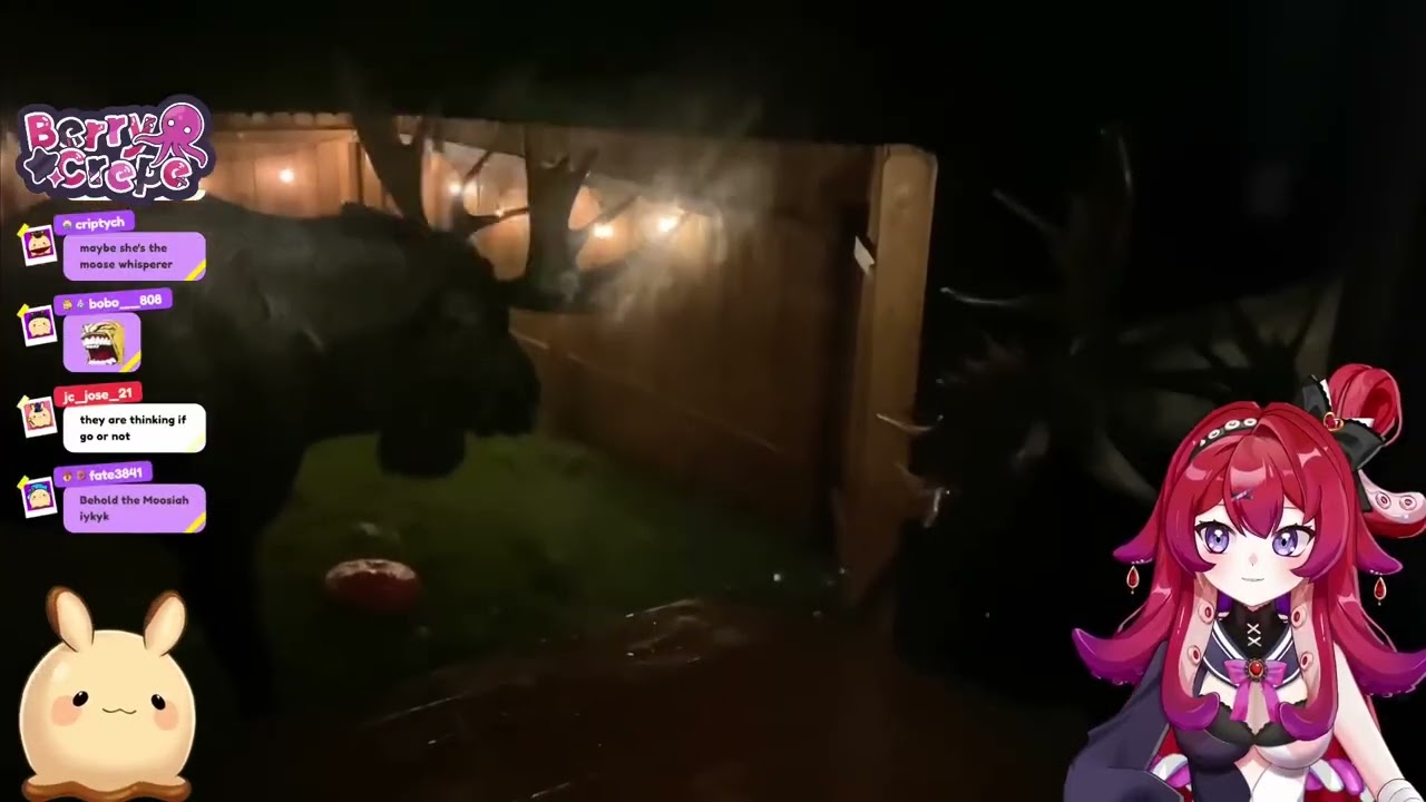 berry reacts to moose fight and a guy falling down stairs