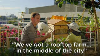 Flow Hive honey at Australia's largest rooftop farm