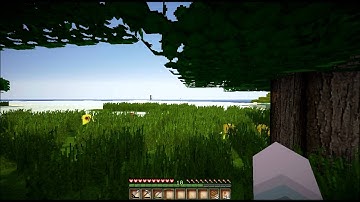 Minecraft 1.2.4 Sonic Ether