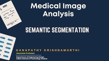 Semantic Segmentation