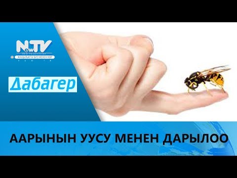 Video: Аарынын аарыдан эмнеси менен айырмаланат