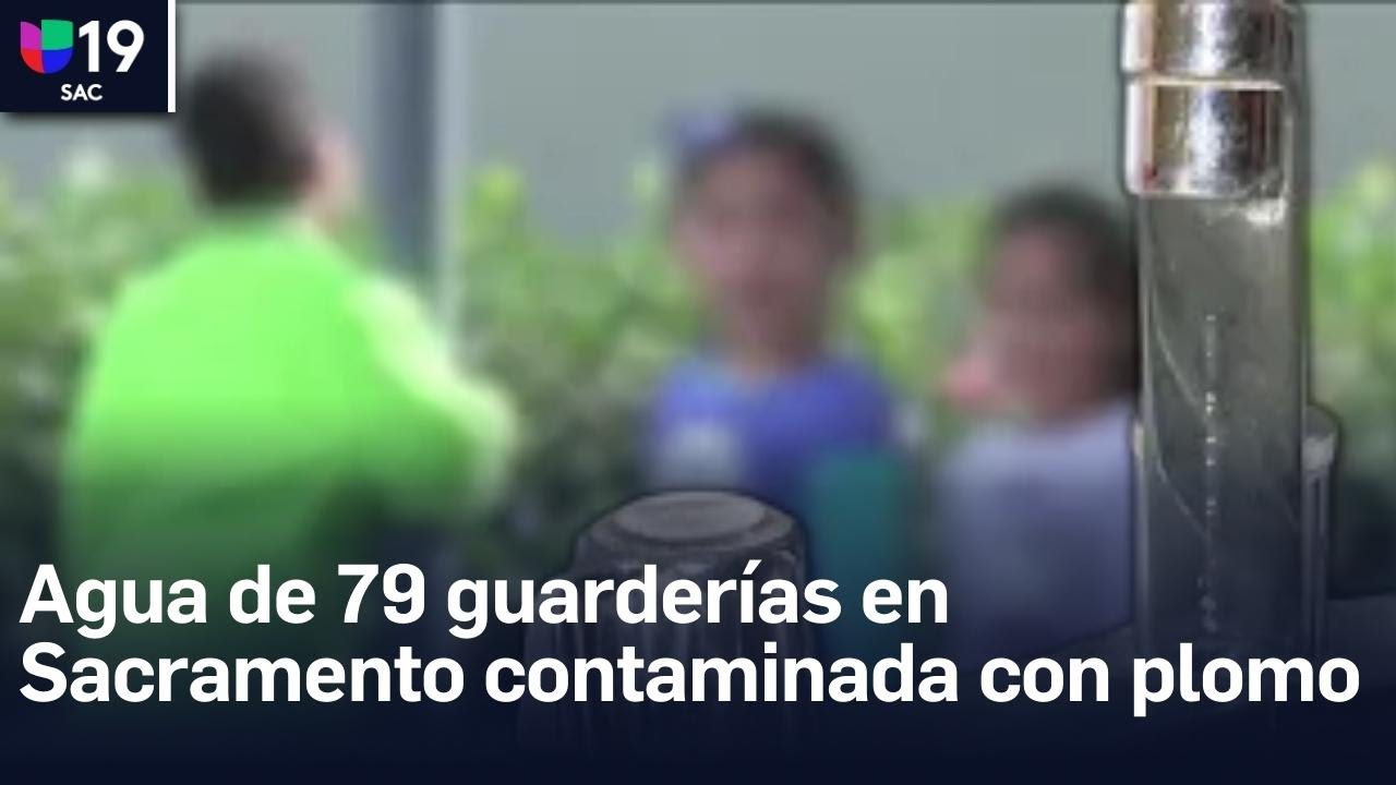 Detectan contaminación por plomo en el agua en 79 guarderías en el
