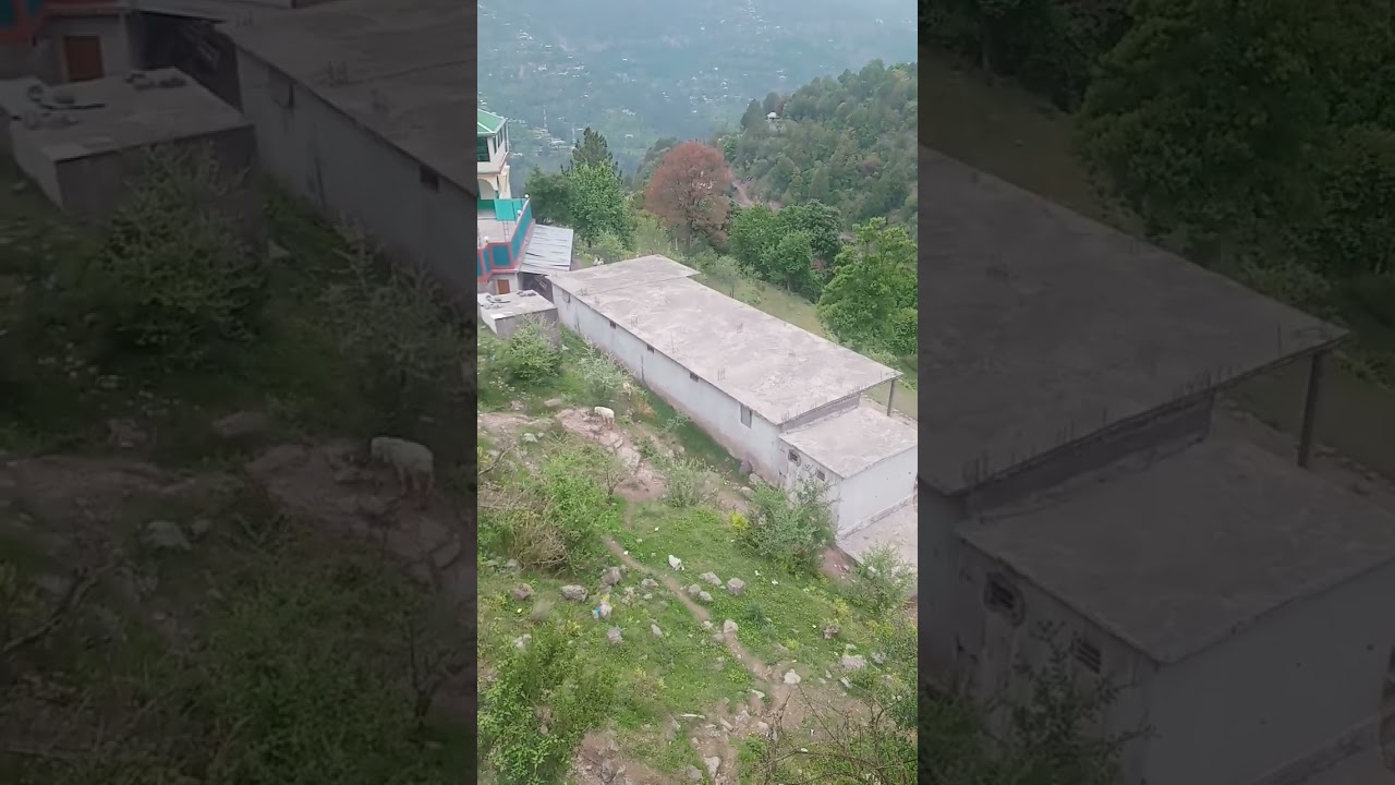 kashmir #cover #song #religion #voiceeffects #comingsoon #jumma #love #live #urdu #music