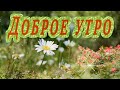 С добрым утром! ☕️☀️ Летнего настроения! 🌺 Солнечного дня! Красивая музыкальная открытка!