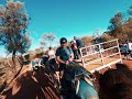 Outback camel adventures