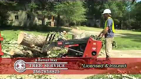 A Better Way Tree Service by Kathy Franks Marketing