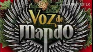 👉REVOLVER CANNABIS👈  &  👉VOZ DE MANDO👈