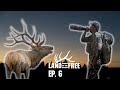 Sneaky Timber Bulls of Wyoming | LOF3 Ep.6