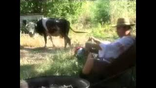 Nicolae Guta - Nemuritorul