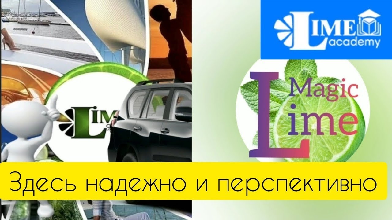 Бонусно-накопительные программы компании Magic Lime Academy ...