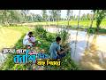 🎣 গ্রামের ছোট্ট খালে বরশি দিয়ে মাছ ধরা | Traditional Fishing in Village | Fishing Vlogs