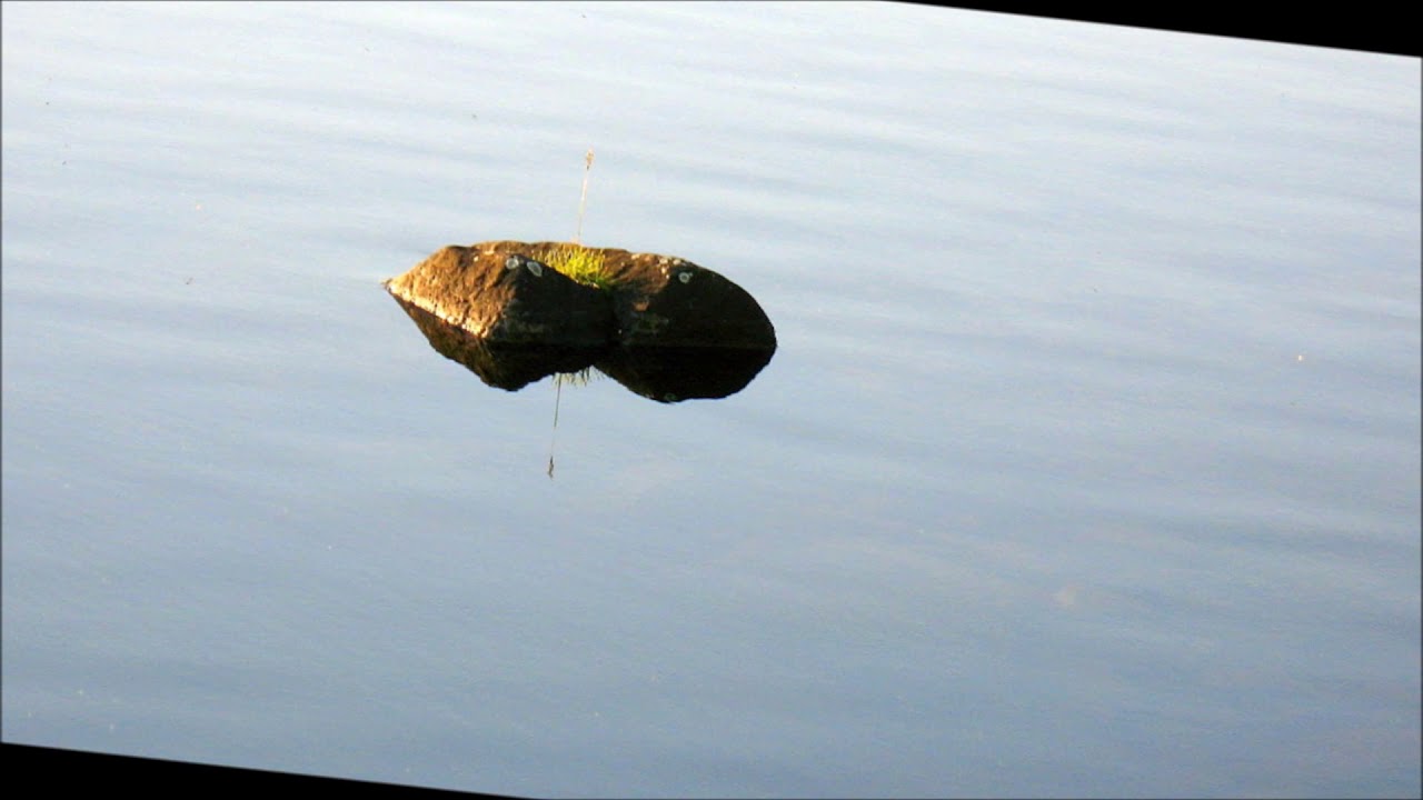 Erkki Junkkarinen - Tarton helmi