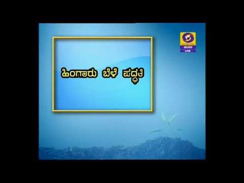 Rabi Cultivation_ಹಿಂಗಾರಿ ಬೆಳೆ ಪದ್ಧತಿ chandanagar hyderabad