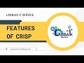 Features of crisp in your website  labbaik it service