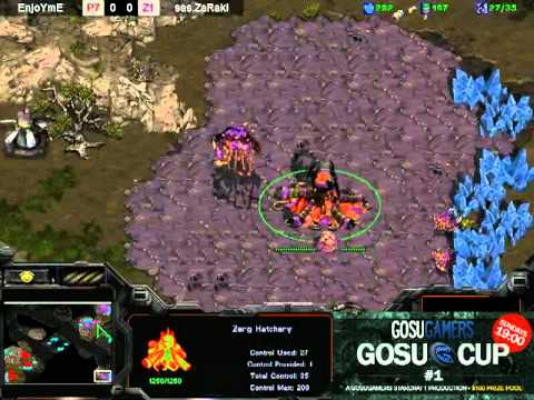 Ro16 EnjoYmE vs ZaRaki