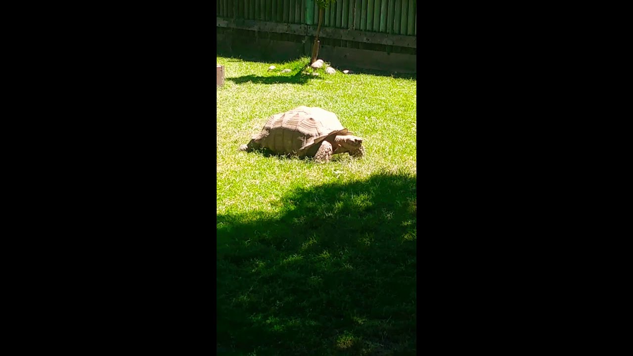 Merced California Zoo