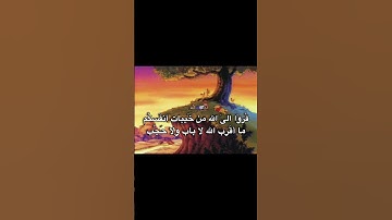 #سورة_الحشر #قرآن #محمد_صديق_المنشاوي #قران_بصوت_جميل #المنشاوي_الباكي #المنشاوي_الصوت_الباكى #1000k