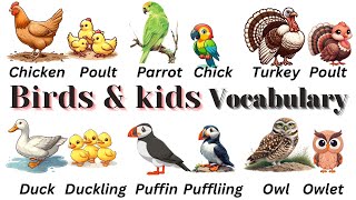 Birds and their kids names in English || Baby birds name with Pictionary || learn vocabulary