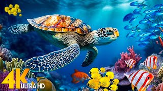 NEW 4HRS Stunning 4K Underwater Wonders   Relaxing Music  Coral Reefs, Fish \& Colorful Sea Life