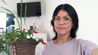 4K Transparent Cleaning Video Try-On Haulwell-Cared-For Plants