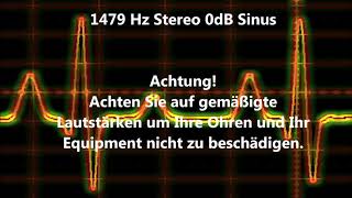 1479 Hz Sinus Ton Test 0dB Stereo Piepton Wave Ton