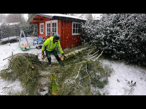I BROKE MY NOSE...This Yard Transformation Was INSANE