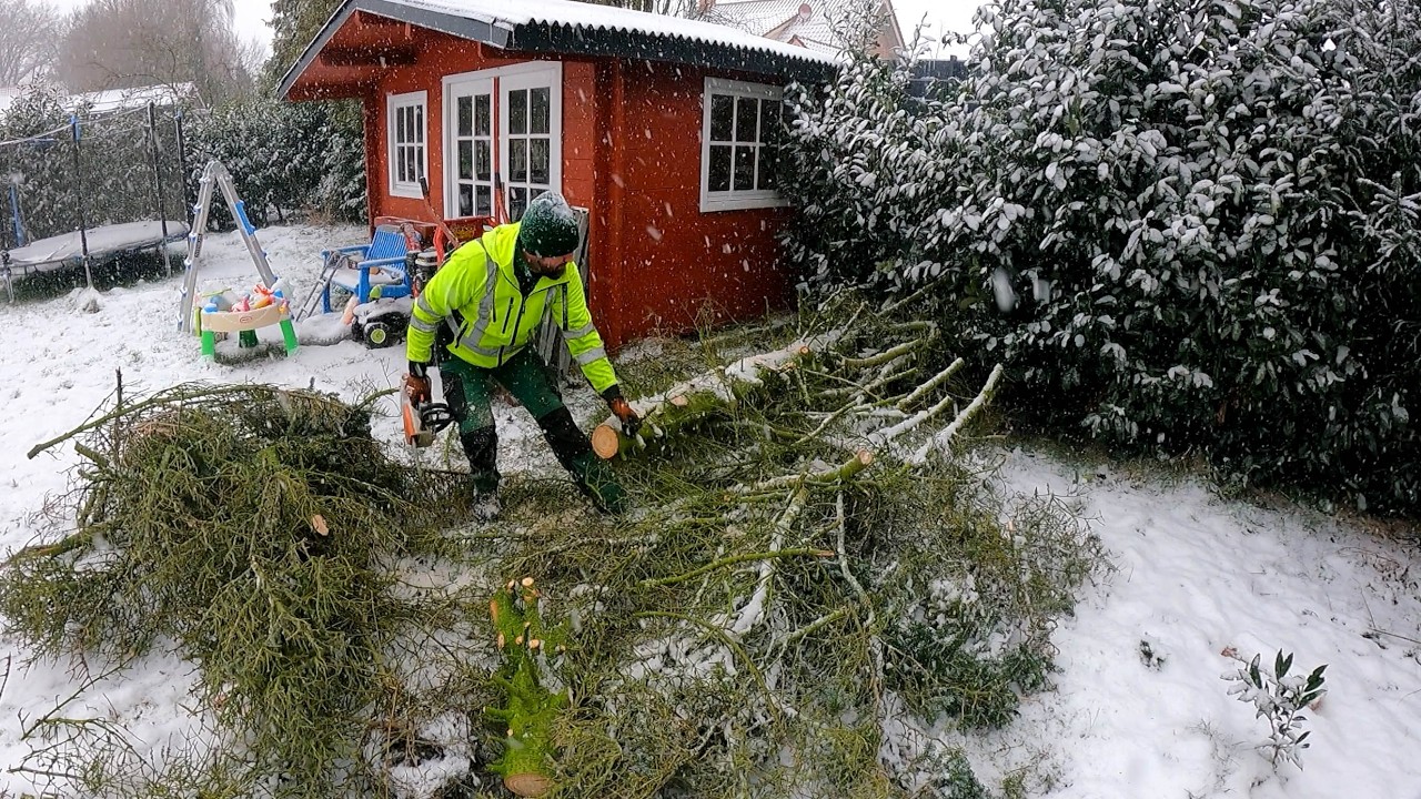 I BROKE MY NOSE...This Yard Transformation Was INSANE