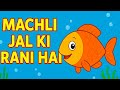 Machli Jal Ki Rani Hai | Fish Poem for Kids | Hindi Rhyme