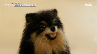 [생방송 오늘 아침] 한 달에 천만 원! 어떻게 20200211