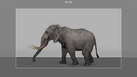 Elephant walk animation