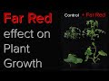 What effect does Far Red have on plant growth? | Should we add Far Red to grow light spectrum?