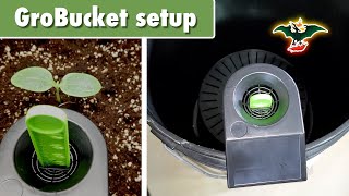 GroBucket self-watering system - Setup and first impressions