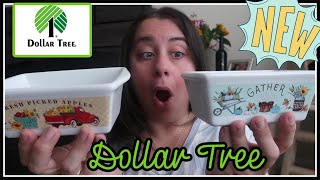 Mystery Dollar Haul! What's NEW at the DT!