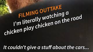 Outtake - Henrietta the Hen