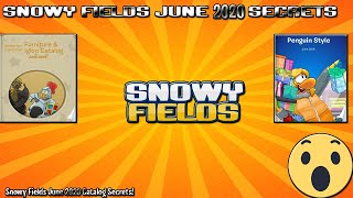 Snowy Fields June 2020 Catalog Secrets!