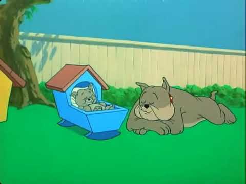 توم وجيري والكلب مع ابنه تموت ضحك