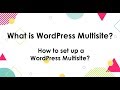 What is WordPress Multisite? How to set up a WordPress Multisite?