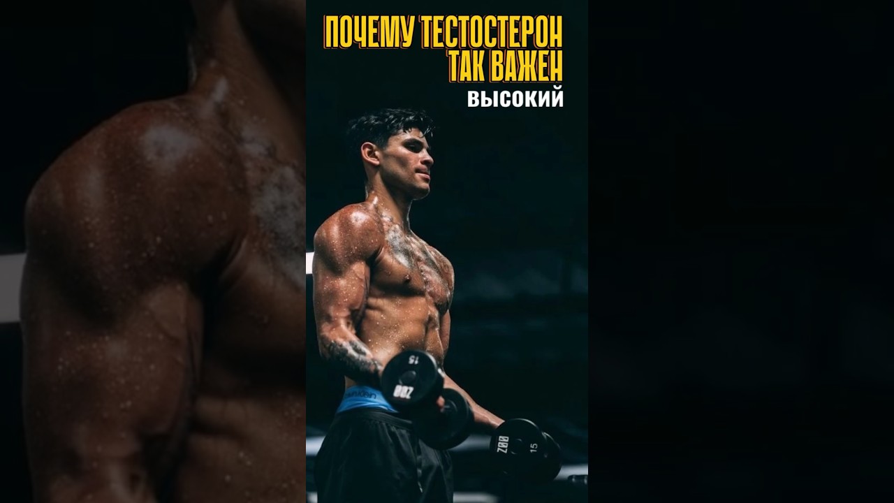 Как влияет высокий тестостерон на мужчину 