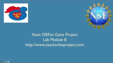 Yeast ORFan Gene Project Lab Module 8