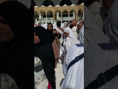 19 January 2024 Video Shortvideos Viralshort