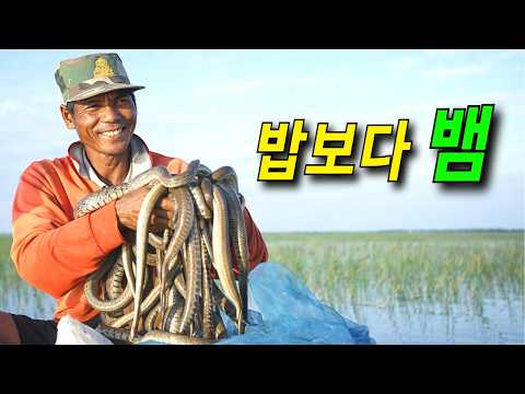 삼시세끼 뱀만 먹는 마을