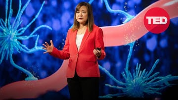 Could We Treat Alzheimer