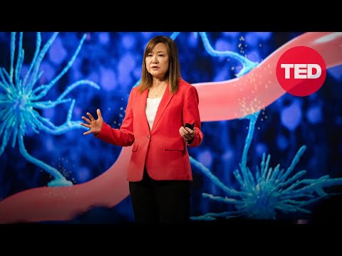 Are Brain Waves the Secret to Treating Alzheimer's? | Li-Huei Tsai | TED