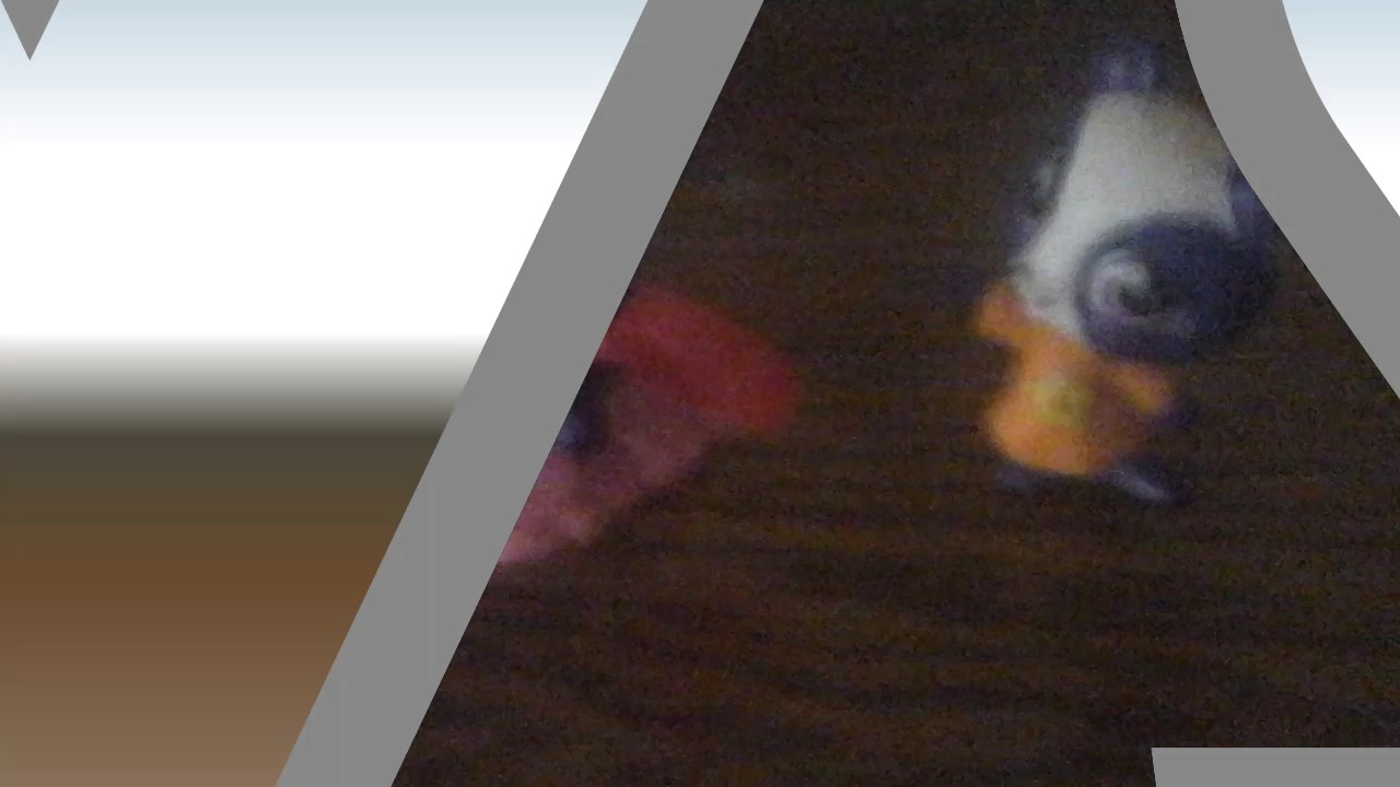 Lps-real pennyling vs mcdonald pennyling