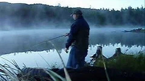 Misty McLean Morning