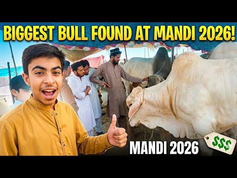Mandi vlog 2026 | Bhata Chowk mandi 2026 😱