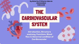 Kinesiology Assignment : Cardiovascular System🫀
